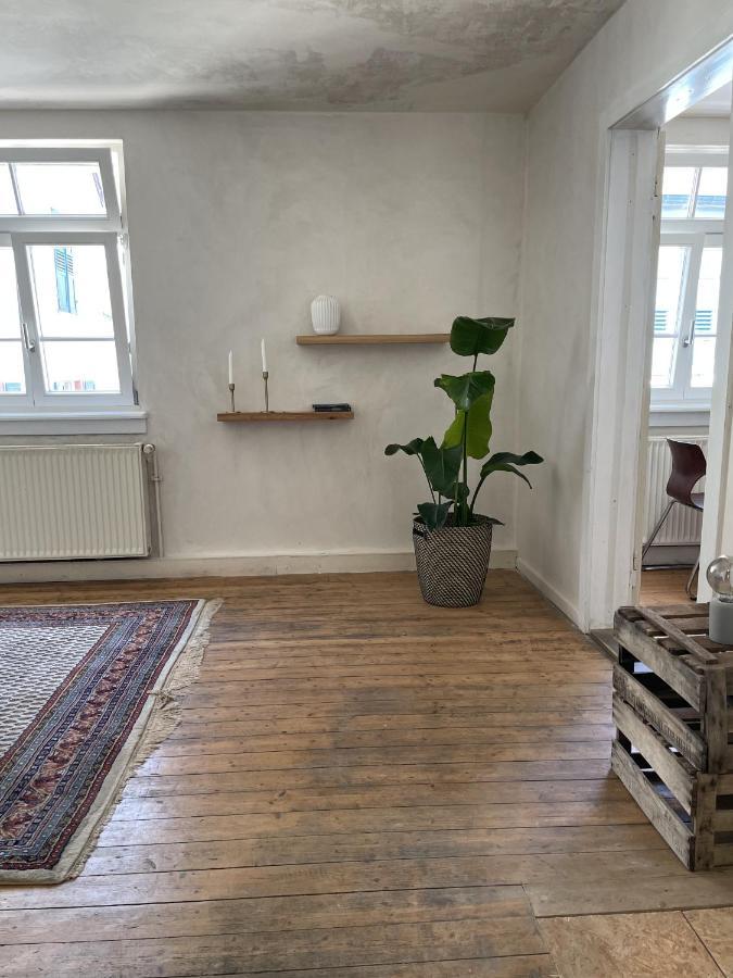 Schoene Apartments Auf Dem Weingut Schaetzel Nierstein Zewnętrze zdjęcie